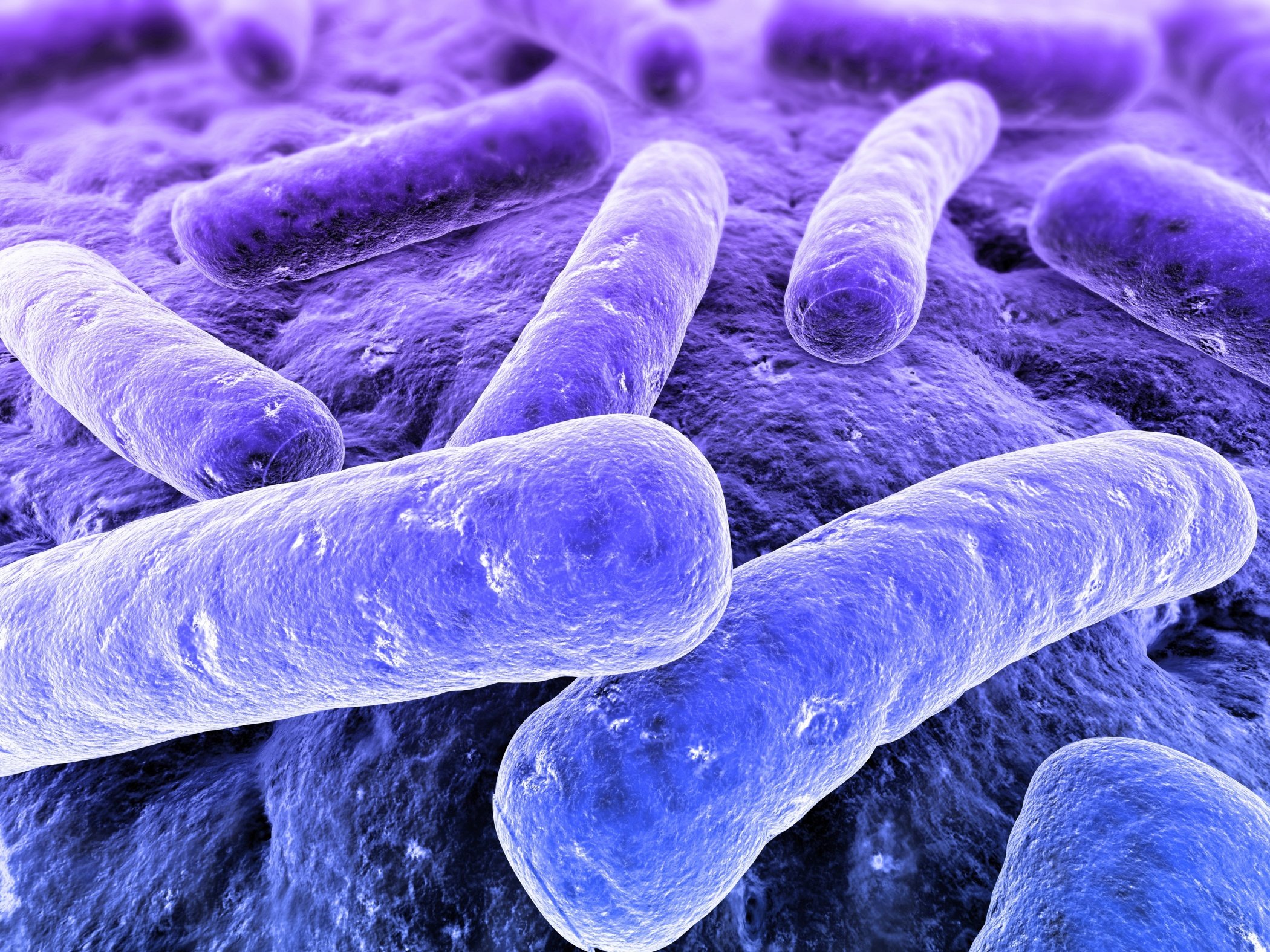 Объяснено, как бактерия туберкулеза импортирует витамин В12, необходимый ей для размножения