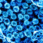 Ученые определили уровень влажности воздуха, при котором замедляется передача коронавируса