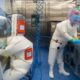 Ученые из Уханя действительно создали «искусственный» коронавирус — но не тот