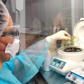 Специалисты уже начали испытывать вакцину на лабораторных животных, включая низших приматов / © РИА Новости