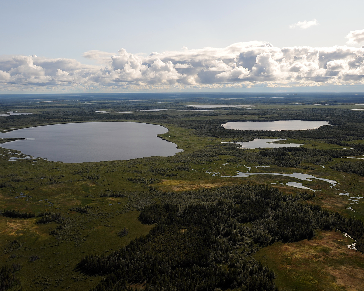 Выявлены процессы перестройки экосистем озер Арктики