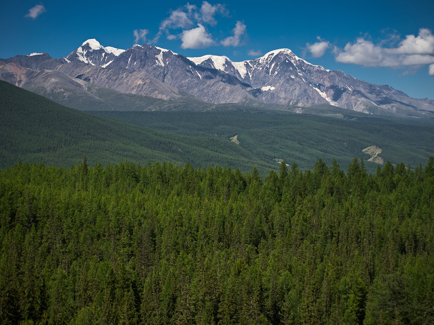 Горно Алтайский заповедник Лесной
