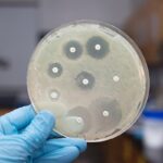 Открыт новый механизм самозащиты, используемый бактериями для борьбы с антибиотиками