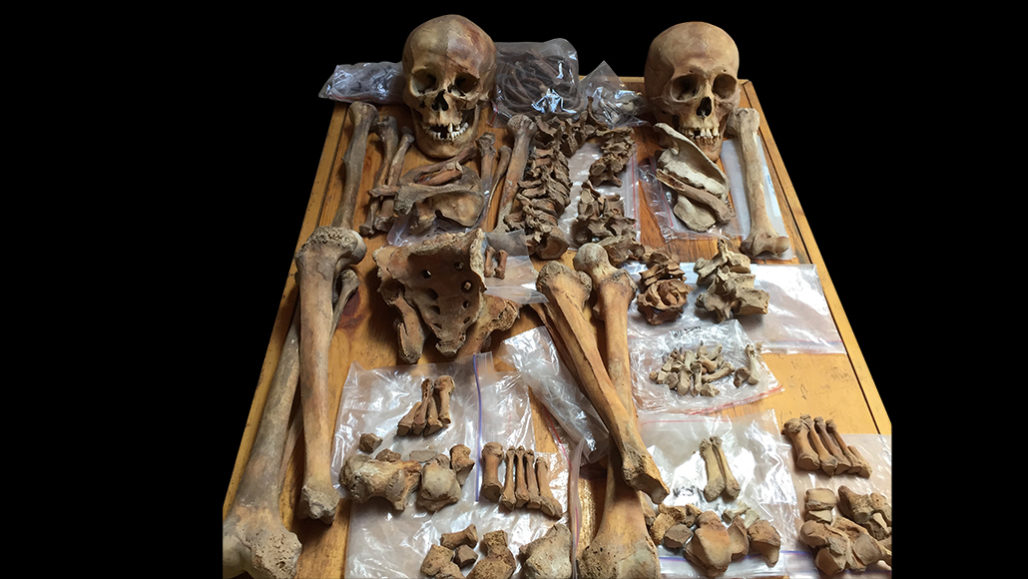 Женский (слева) и мужской скелеты кочевников сяньби сохранили следы скачки, стрельбы и ранений