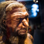 Суперкомпьютерная симуляция показала возможную причину вымирания неандертальцев