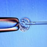 Ученые превратили стволовые клетки в клетки печени и впервые успешно пересадили их младенцу