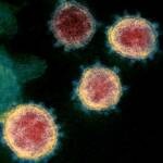 Большинство людей могут никогда не выработать устойчивого иммунитета к коронавирусу