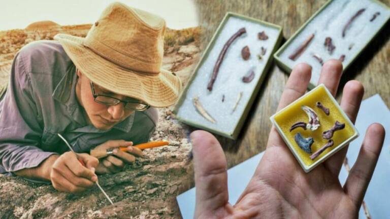 Палеонтологи