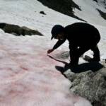 Розовый лед в Альпах назвали маркером точки невозврата в процессе глобального потепления