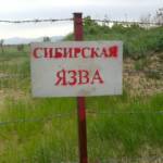Ученый предупредил о риске высвобождения сибирской язвы из-за глобального потепления