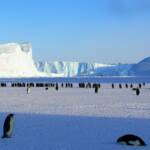 В Антарктике впервые обнаружена утечка придонного метана