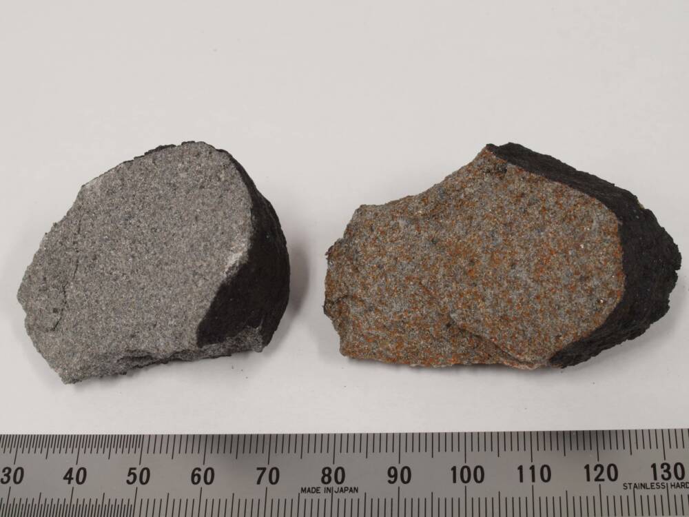 Фрагменты метеорита / © Национальный музей природы и науки