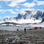 Ученые заметили разрушение «нетронутой» природы Антарктиды