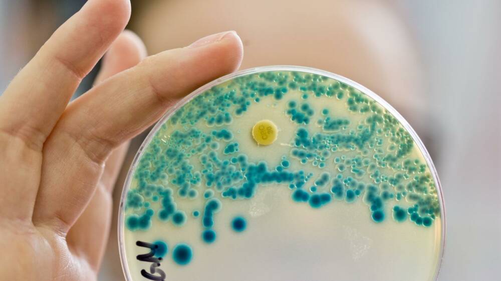 Биофизики выяснили, каким должен быть новый антибиотик