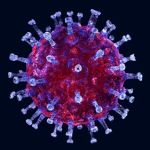 Ученый объяснил, почему коронавирус затрагивает только некоторые органы