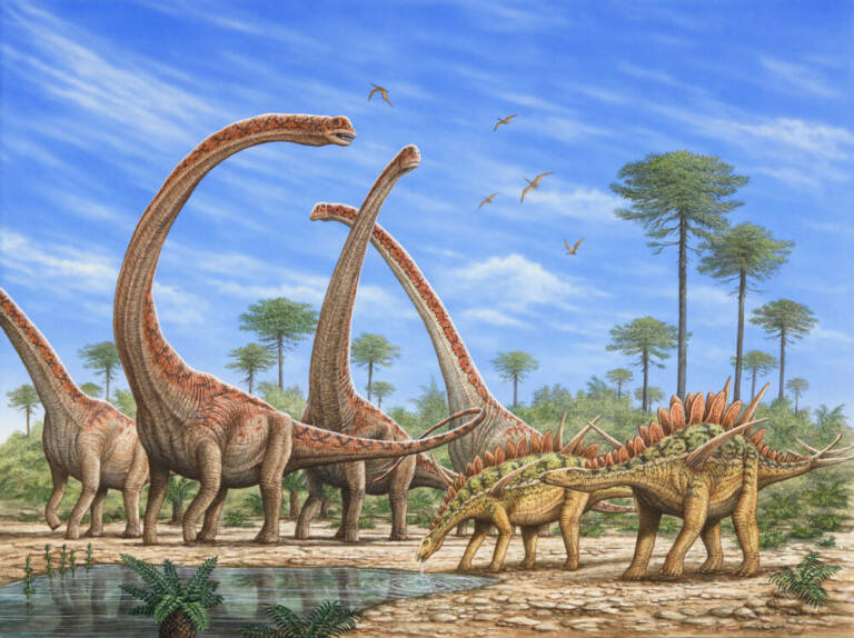 Изображение зауроподов (слева) и стегозавров (справа) / ©Фил Уилсон