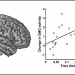 Ученые рассказали, как мозг искажает восприятие времени