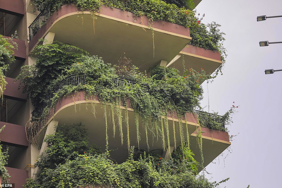  Вид на жилой комплекс Qiyi City Forest Garden в Чэнду, Китай / ©Агентство по охране окружающей среды США
