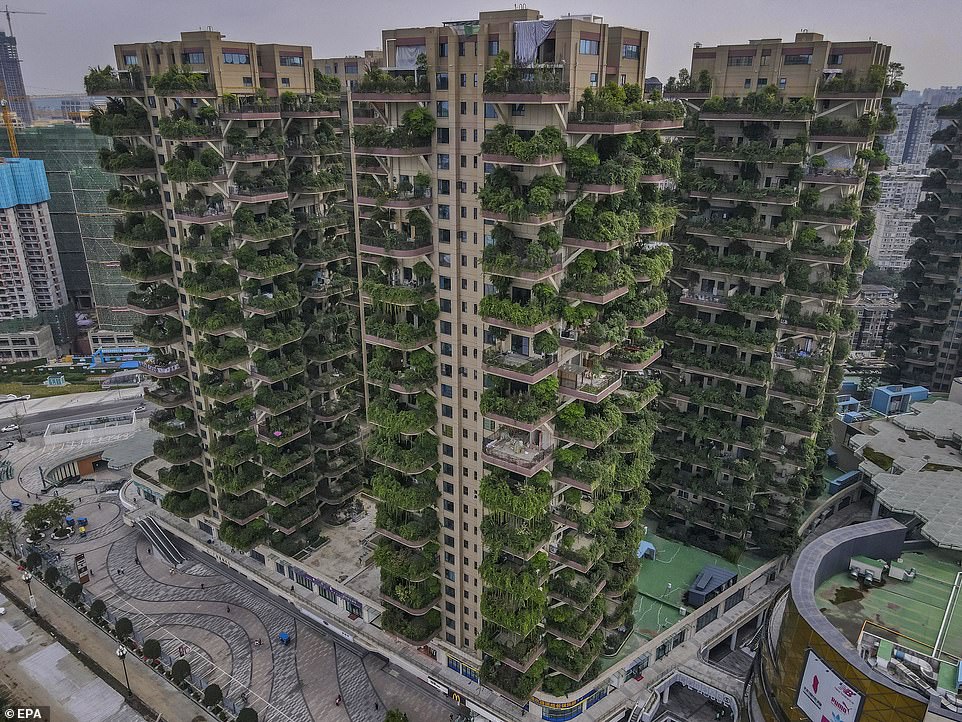 Вид на жилой комплекс Qiyi City Forest Garden в Чэнду, Китай / ©Агентство по охране окружающей среды США