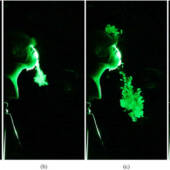 Эксперимент показывает, как маска с клапаном пропускает слюну при кашле / ©Physics of Fluids