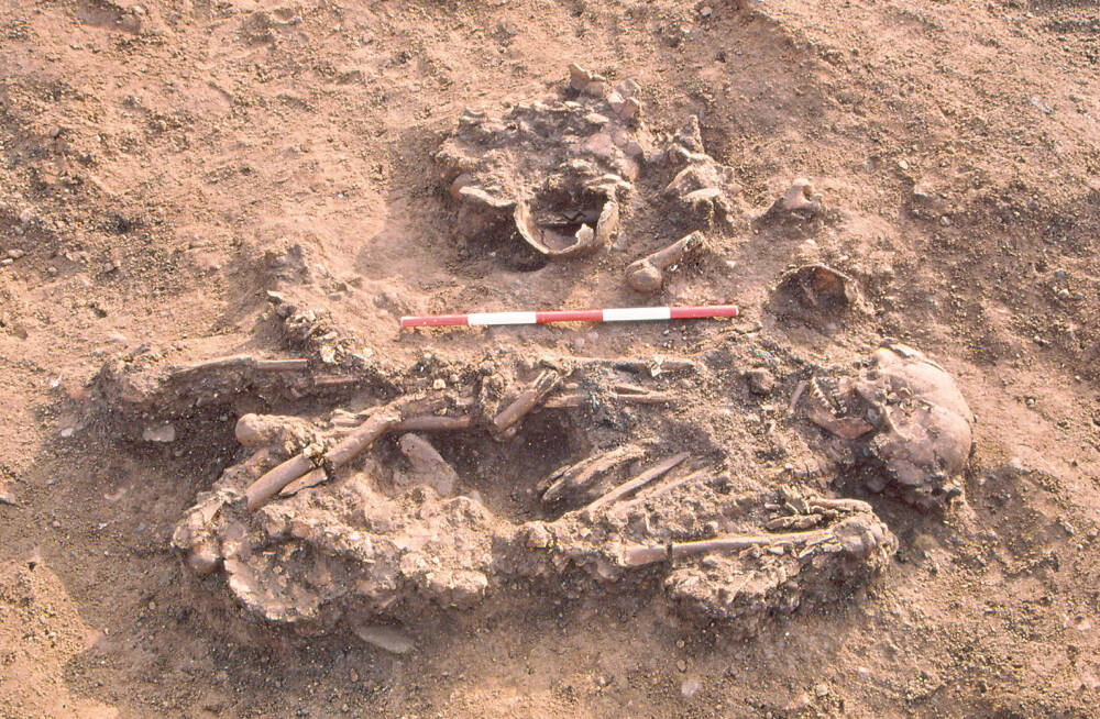 В бронзовом веке человеческие останки использовали в качестве семейных реликвий