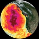 Глобальное потепление создает убийственные «волны жары» в океанах