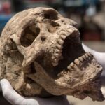 В Испании обнаружили неизвестный погребальный ритуал эпохи неолита