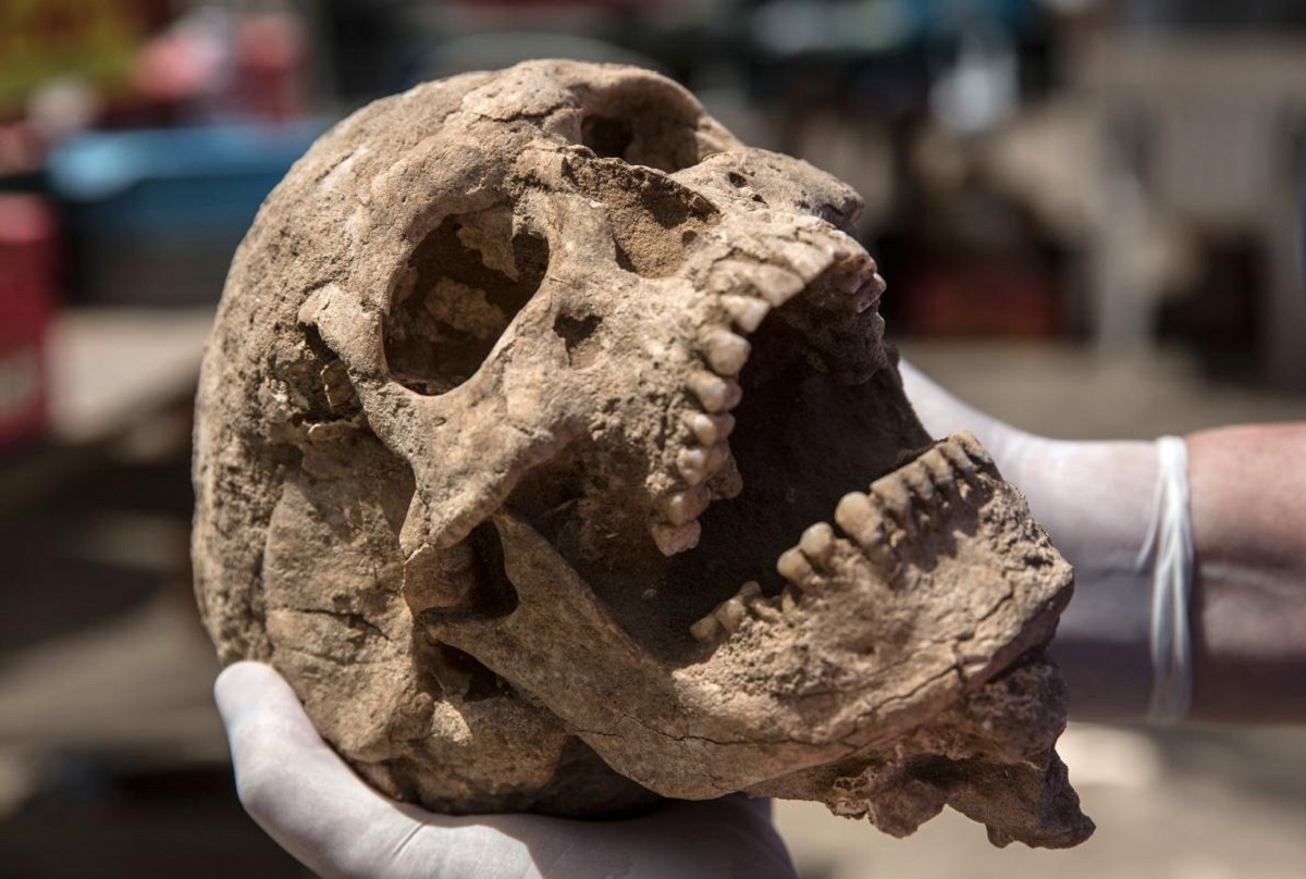 В Испании обнаружили неизвестный погребальный ритуал эпохи неолита