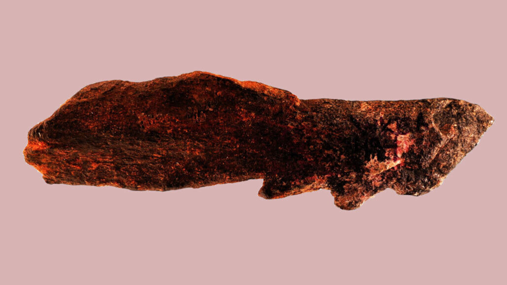 Найден древнейший костяной наконечник, сделанный задолго до человека разумного