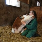 Анника Ланге с коровой / © Венский ветеринарный университет