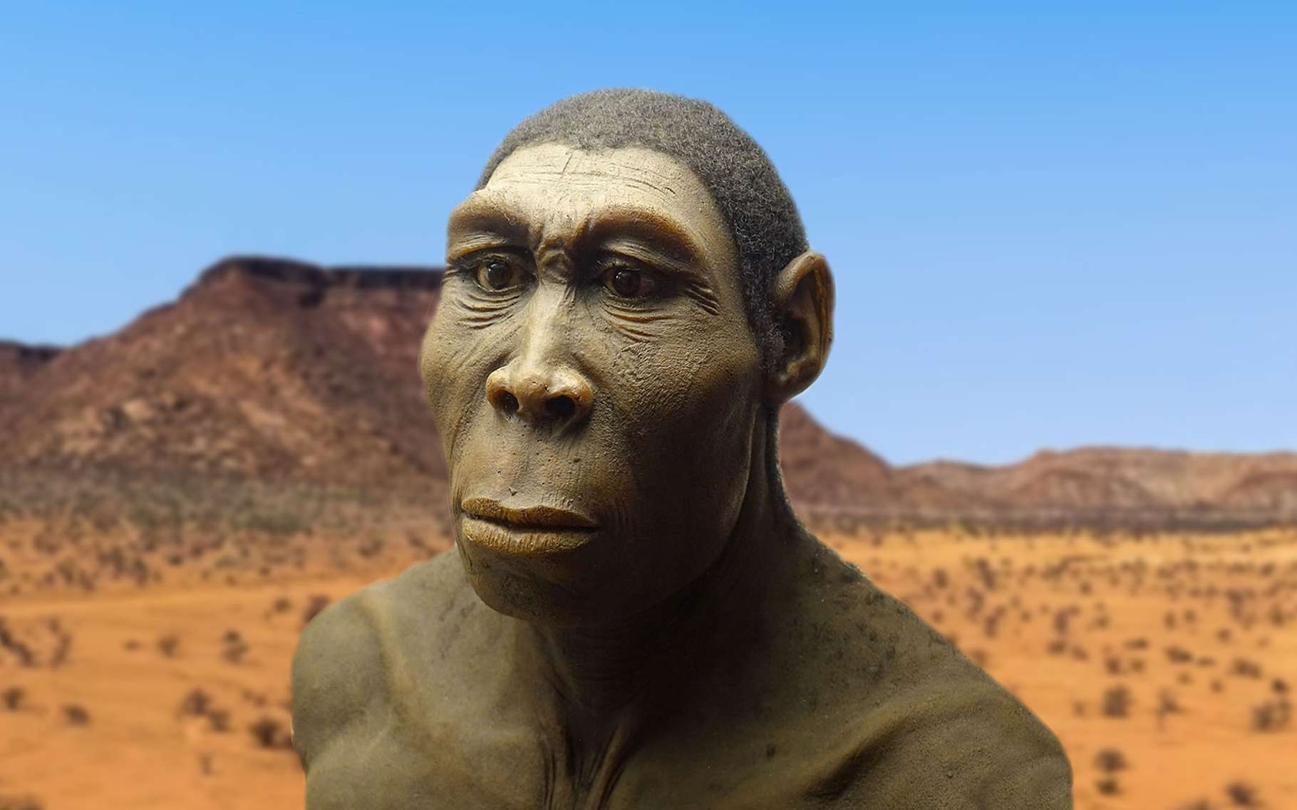 Выяснилось, какие факторы ускорили прогресс в развитии человеческой культуры 320 тысяч лет назад