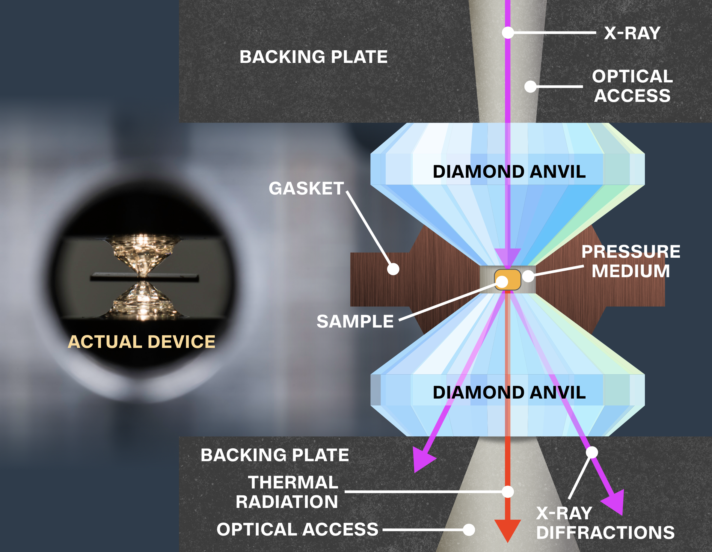 Камера с алмазной наковальней, в которой физики исследовали образец кристалла