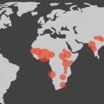 Названы регионы, где может возникнуть следующая пандемия