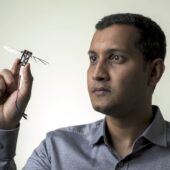 Сридхар Рави считает, что технологии полета насекомых пригодятся для создания микробеспилотников