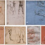 Исследование раскрыло микробиоту рисунков Леонардо да Винчи
