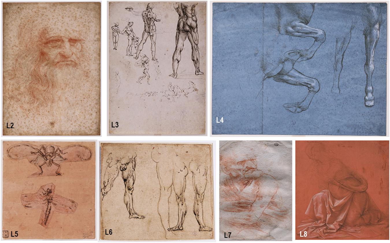 Исследование раскрыло микробиоту рисунков Леонардо да Винчи