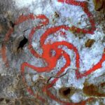 Американские археологи показали связь наскальной живописи с приемом галлюциногенов