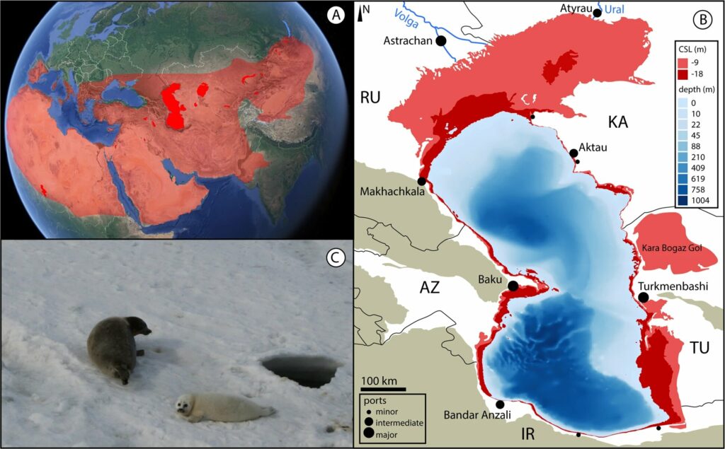 Доклад: Особенности природы Каспийского моря