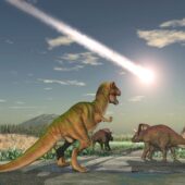 Динозавры навстречу судьбе