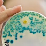 Мы контролируем микробов или они нас?