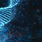 Секрет упаковки ДНК