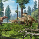Череп «гребнистого» динозавра рассказал о его предназначении