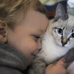 Общение с кошками оказалось полезным для детей с аутизмом
