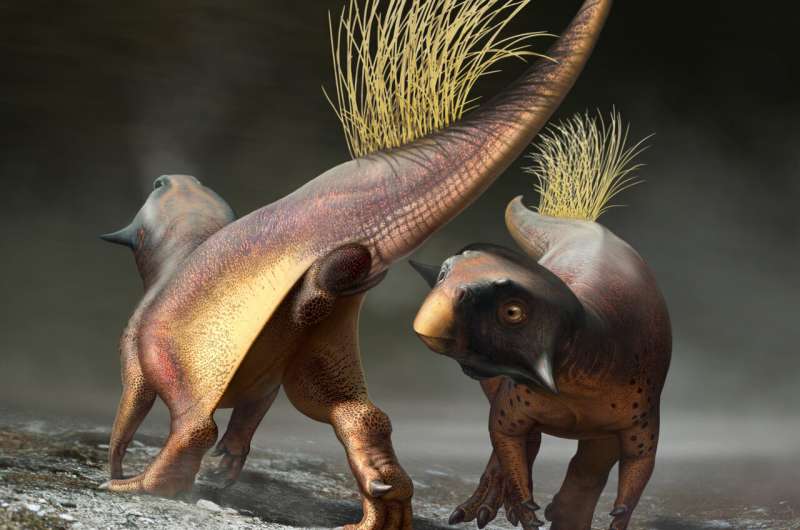 Ученые впервые реконструировали клоаку динозавра