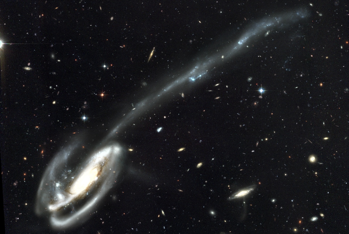 Галактика Головастик демонстрирует яркий приливной хвост, возникший из-за столкновения с другой галактикой