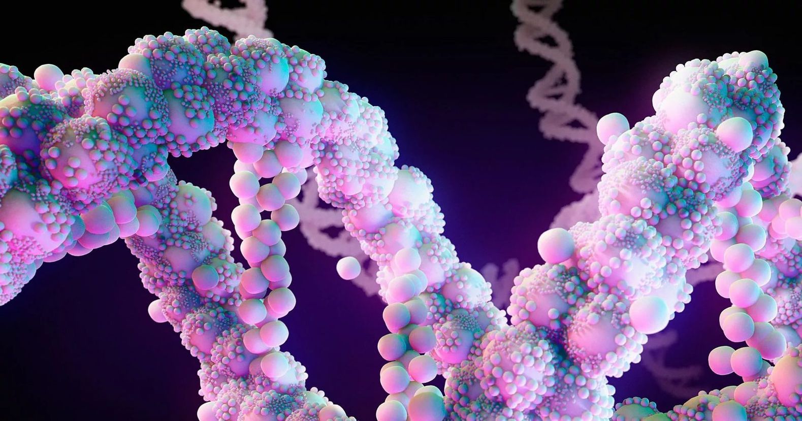 В Сколтехе проанализировали способы упаковки ДНК