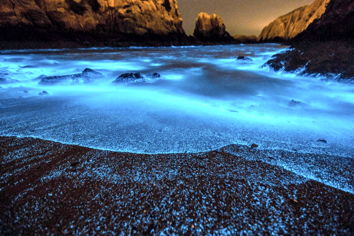 Светящийся океан биолюминесцентный