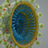 Цифровое изображение коронавируса