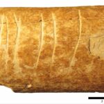 Археологи обнаружили одну из древнейших символических гравюр, вырезанную на кости
