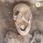 В Египте нашли загадочную мумию человека с золотым языком